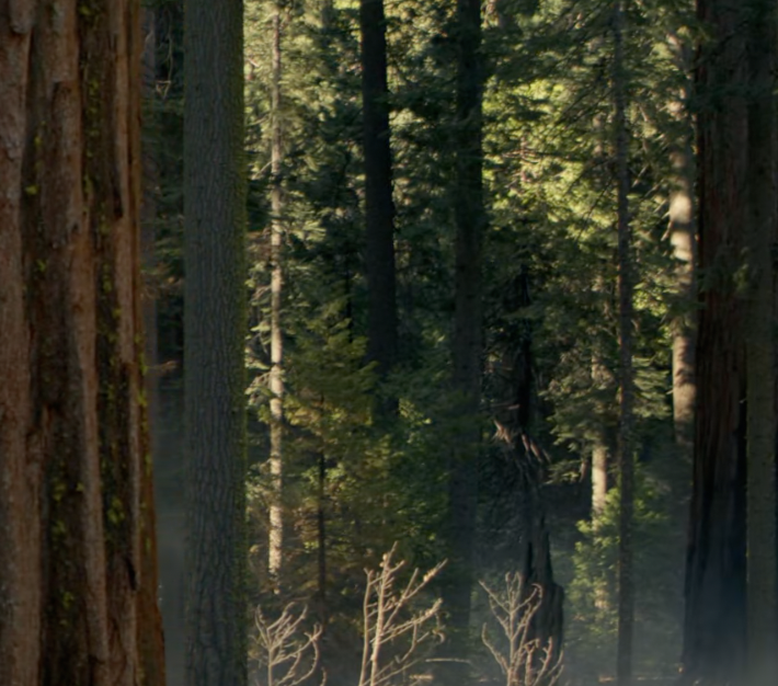 Screenshot 2025-06-13 at 09.42.09.png